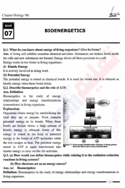 9th Biology Chapter-7 (Bio Energetics) PDF Notes