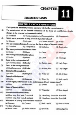 10th Biology Chapter-11 (Homeostasis) PDF Notes