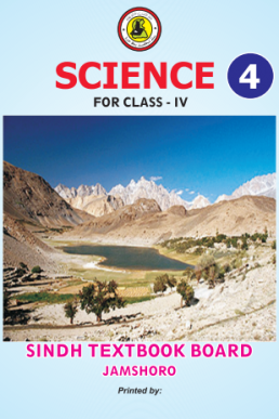 4th Class Science Text Book in English by Sindh Board