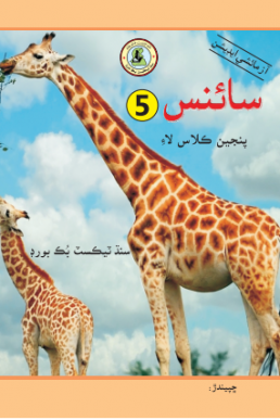 5th Class Science PDF Text Book in Sindhi by STBB