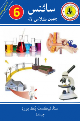 6th Class Science PDF Text Book in Sindhi by Sindh Board