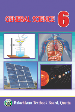 6th Class General Science (EM) Text Book by Balochsitan Board