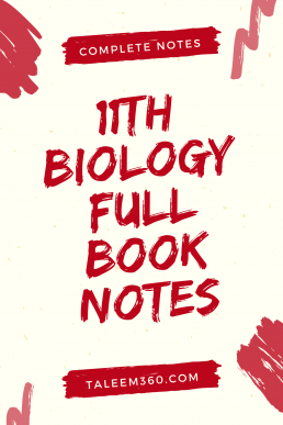 11th Class Biology Full Book Notes PDF (Complete)