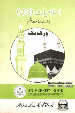 5th Class Islamiat KPK Board Workbook PDF