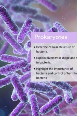 Nearpeer Biology (Topic: Prokaryotes) PDF