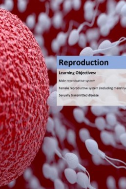 Nearpeer Biology (Topic: Reproduction) PDF