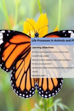 Nearpeer Biology (Topic: Life Processes in Animals & Plants) PDF