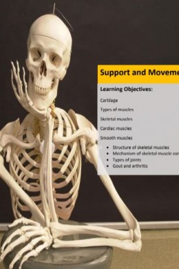 Nearpeer Biology (Topic: Support and Movement) PDF