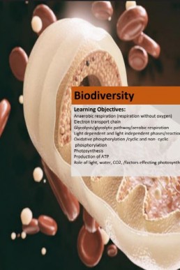 Nearpeer Biology Quick Practice Book (Topic: Bioenergetics)