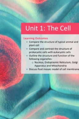 Nearpeer Biology (Topic: Cell Structure and Function) PDF