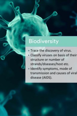 Nearpeer Quick Practice Book Biology (Acellular Life - Biodiversity)