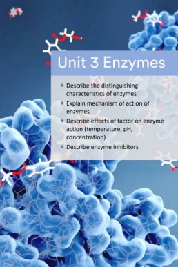 Nearpeer Biology (Topic: Enzymes) PDF