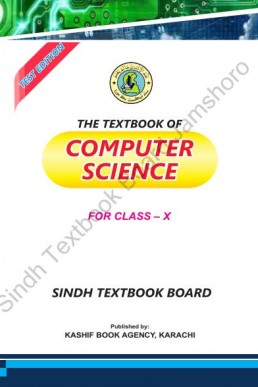 10th Computer Sindh Text Book 2022 PDF