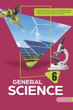 Sixth (6th) Class Science Textbook by PCTB in PDF