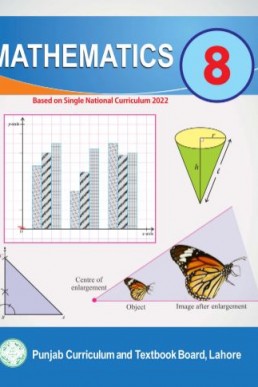 8th Class Mathematics (English Medium) Textbook in PDF by Punjab Board