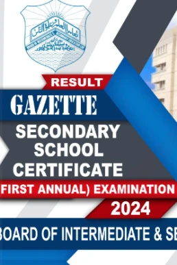 10th Class Result Gazette 2024 Lahore Board PDF