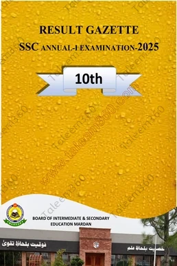 BISE Mardan 10th Class Result Gazette 2025 PDF