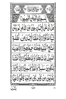 Surah Al-Insan PDF - Holy Quran Surah 76
