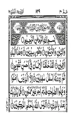 Surah At-Tin PDF - Holy Quran Surah 95