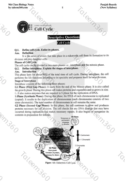 9th Class Biology Notes Chapter 4 Long Questions PDF - Cell Cycle