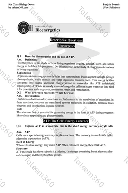 9th Class Biology Notes Chapter 8 Long Questions PDF - Bioenergetics