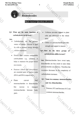 9th Class Biology Notes Chapter 6 Short Questions PDF - Biomolecules