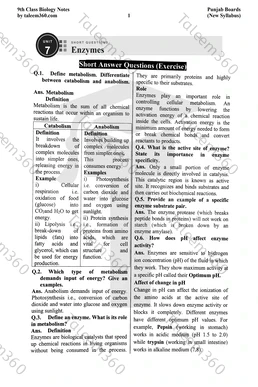 9th Class Biology Notes Chapter 7 Short Questions PDF - Enzymes