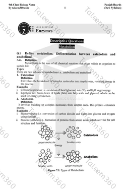 9th Class Biology Notes Chapter 7 Long Questions PDF - Enzymes